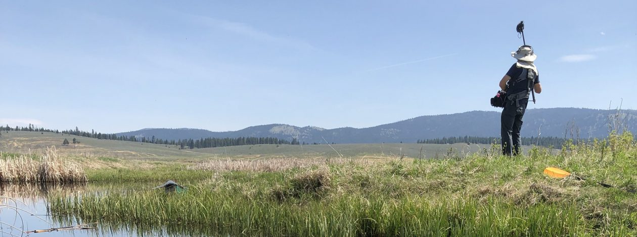 Location Sound Montana 